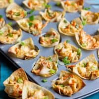 Shrimp Wonton Cups