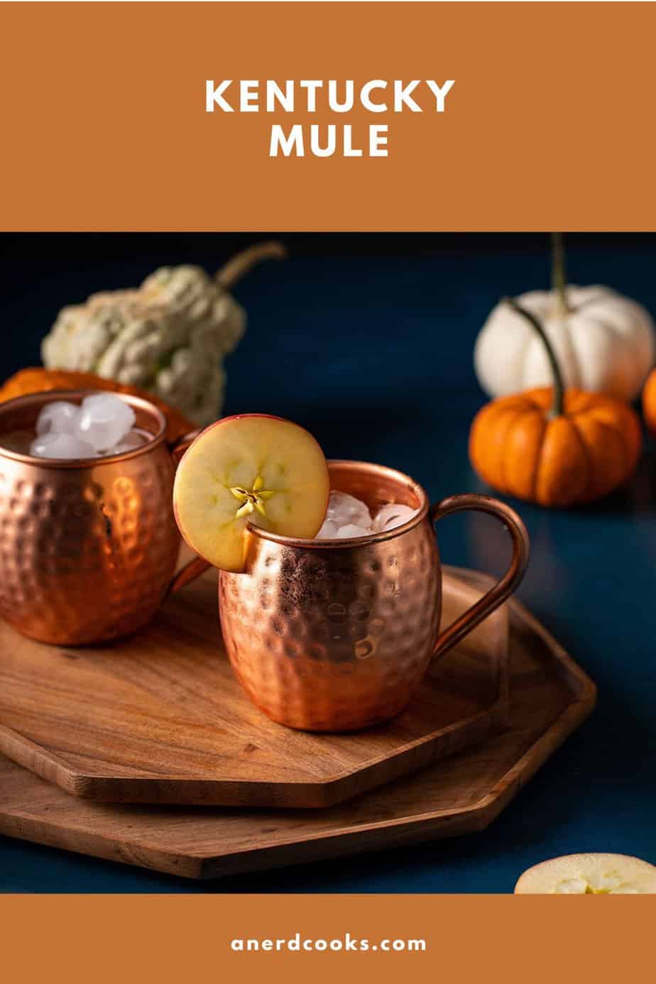 pinterest pin for kentucky mule
