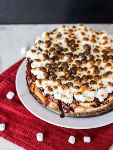 S'mores Cheesecake | A Nerd Cooks