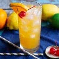 The Black Eyed Susan
