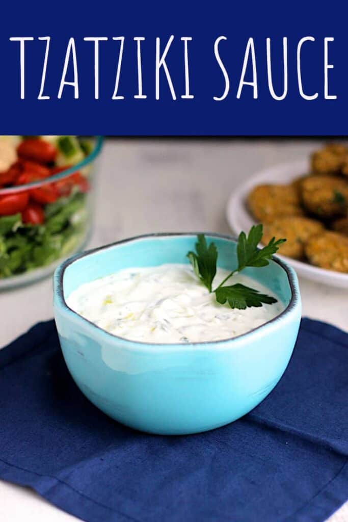 Tzatziki Sauce | A Nerd Cooks