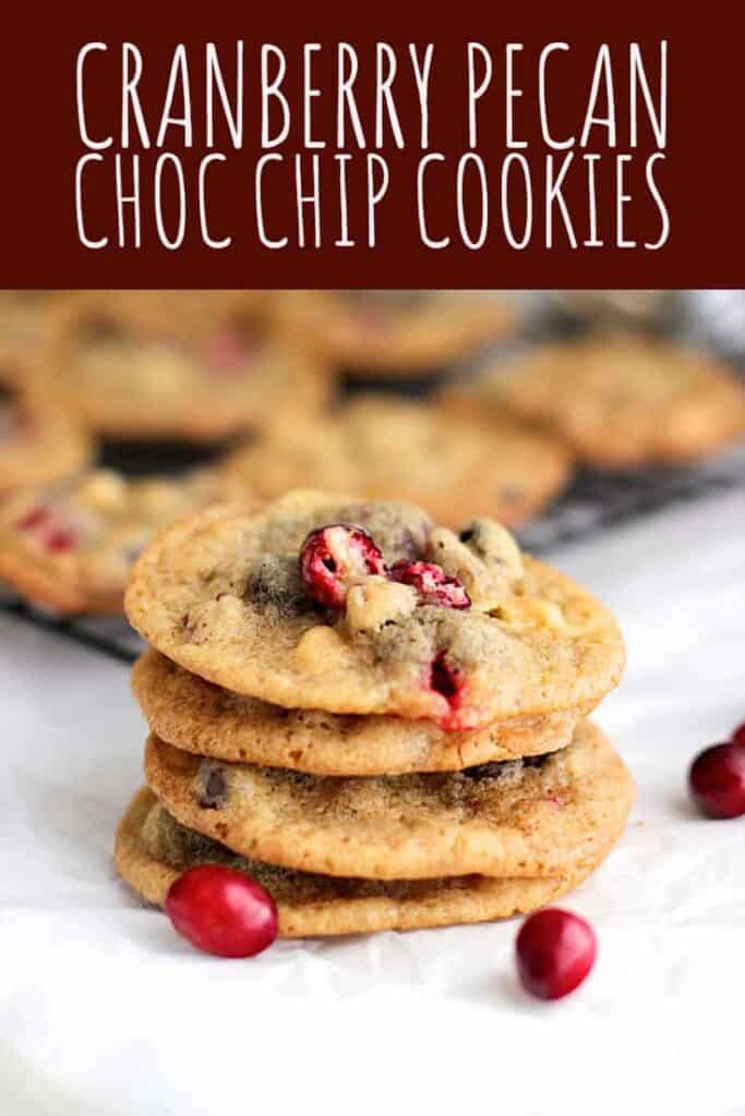 Cranberry Pecan Chocolate Chip Cookies | A Nerd Cooks