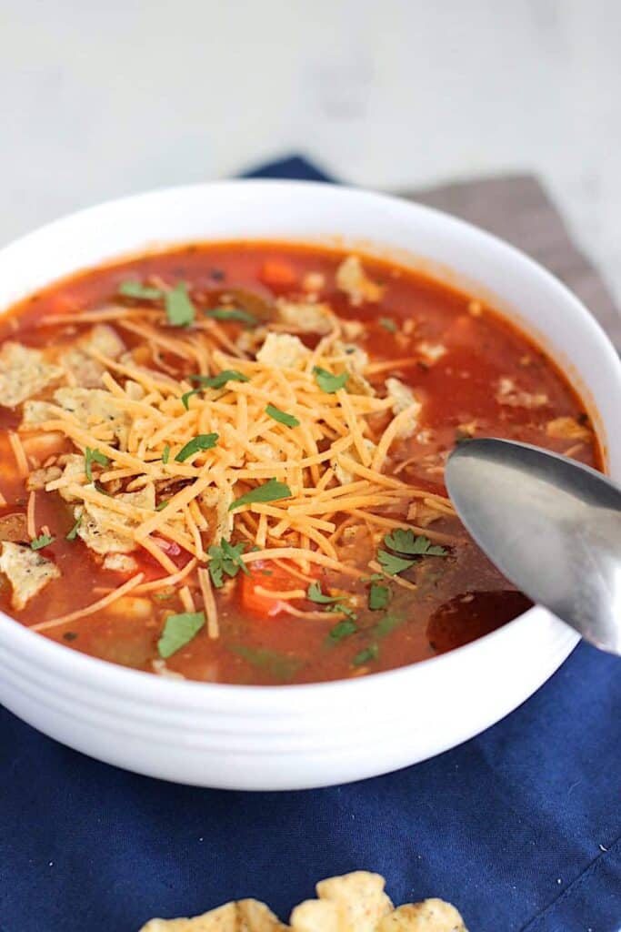 Mexican Chicken Soup | A Nerd Cooks