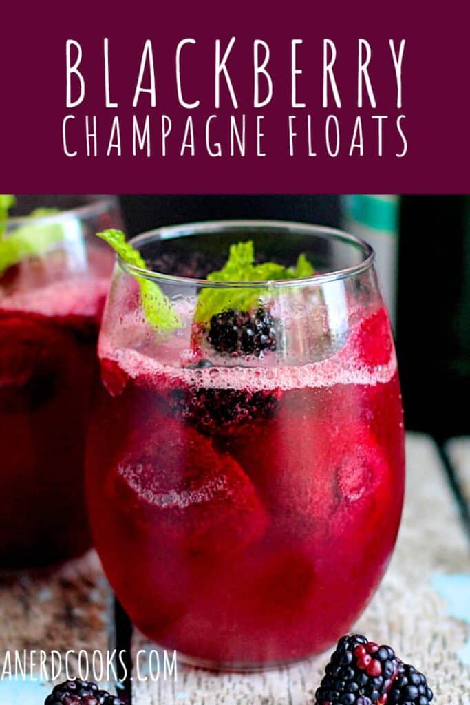 Blackberry Champagne Floats | A Nerd Cooks