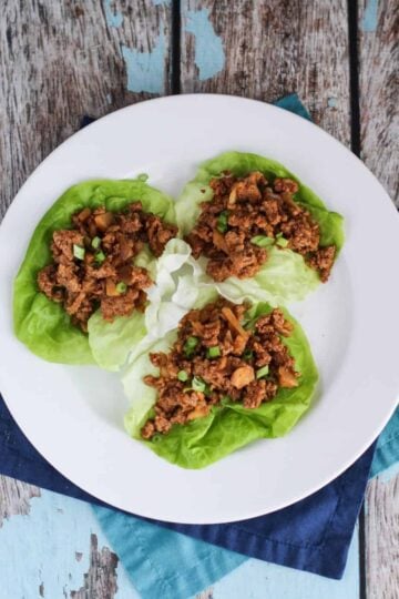 PF Chang's Chicken Lettuce Wraps – A Nerd Cooks