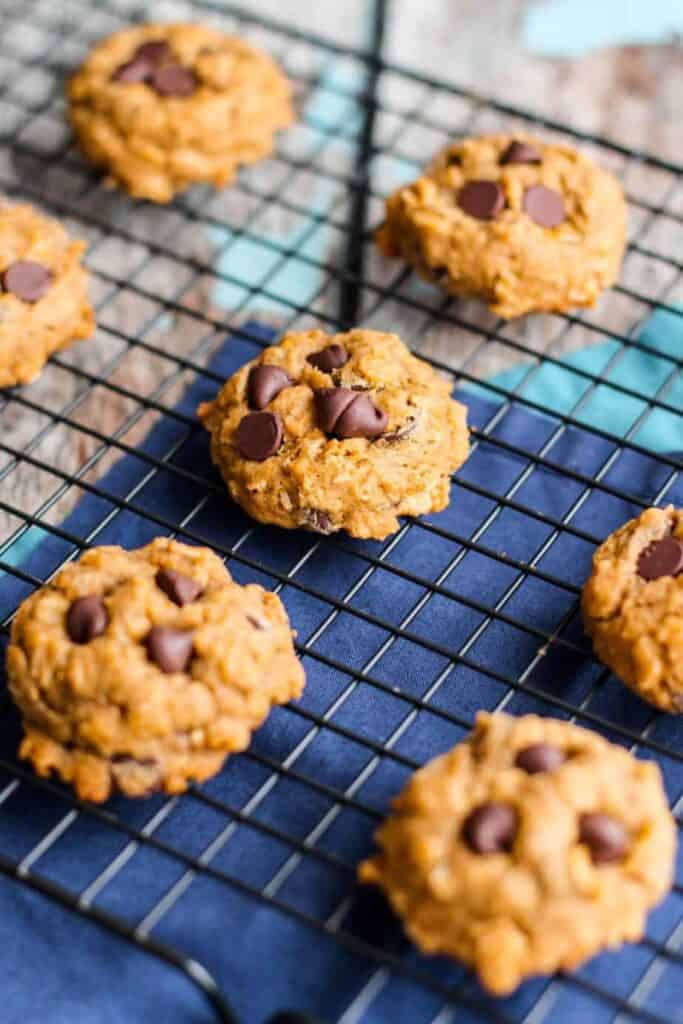 Pumpkin Chocolate Chip Oatmeal Cookies | A Nerd Cooks