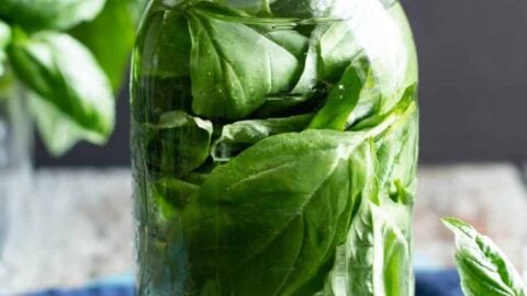 Basil Infused Vodka