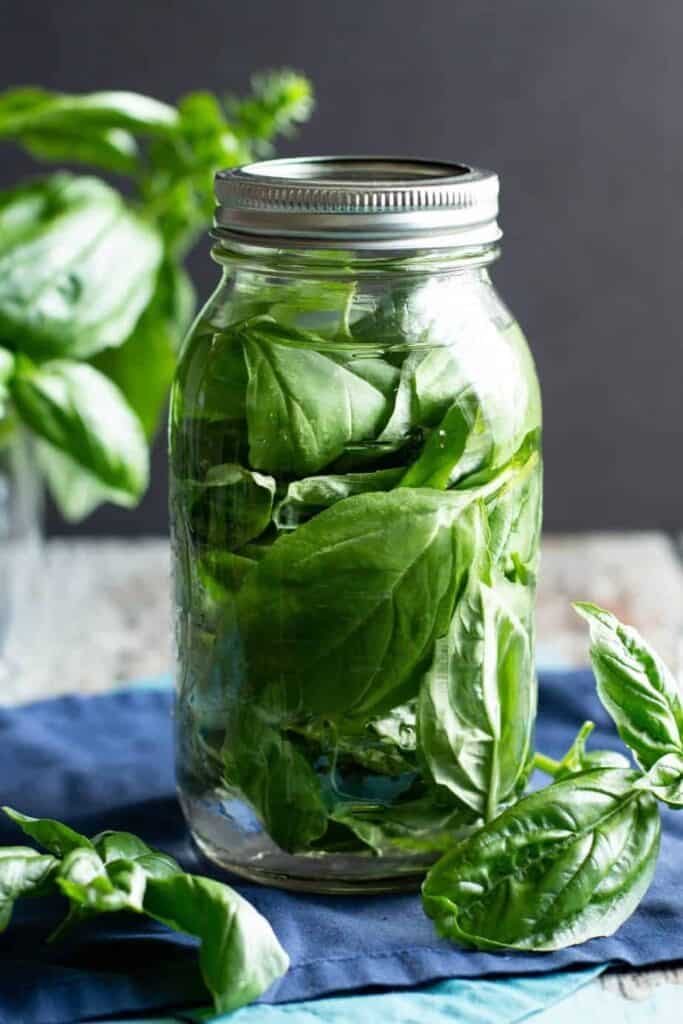 Basil-Infused Vodka | A Nerd Cooks