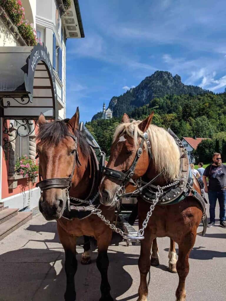 Schloß Neuschwanstein, Germany | A Nerd Travels