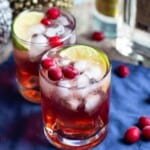 Cranberry Gin and Tonic | A Nerd Cooks