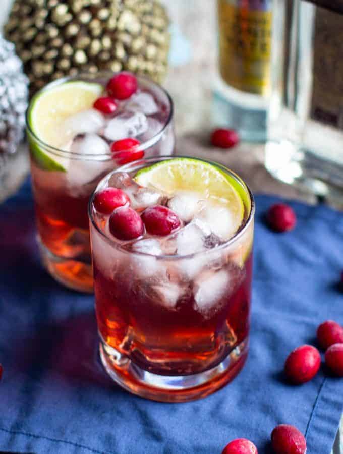 Cranberry Gin and Tonic | A Nerd Cooks