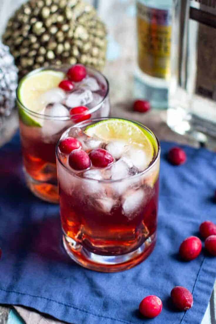 Festive Cranberry Gin And Tonic Recipe - A Nerd Cooks