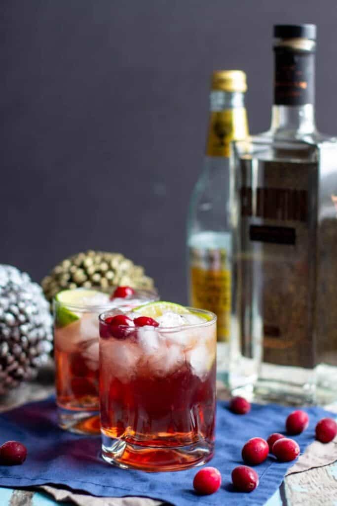 Cranberry Gin and Tonic | A Nerd Cooks