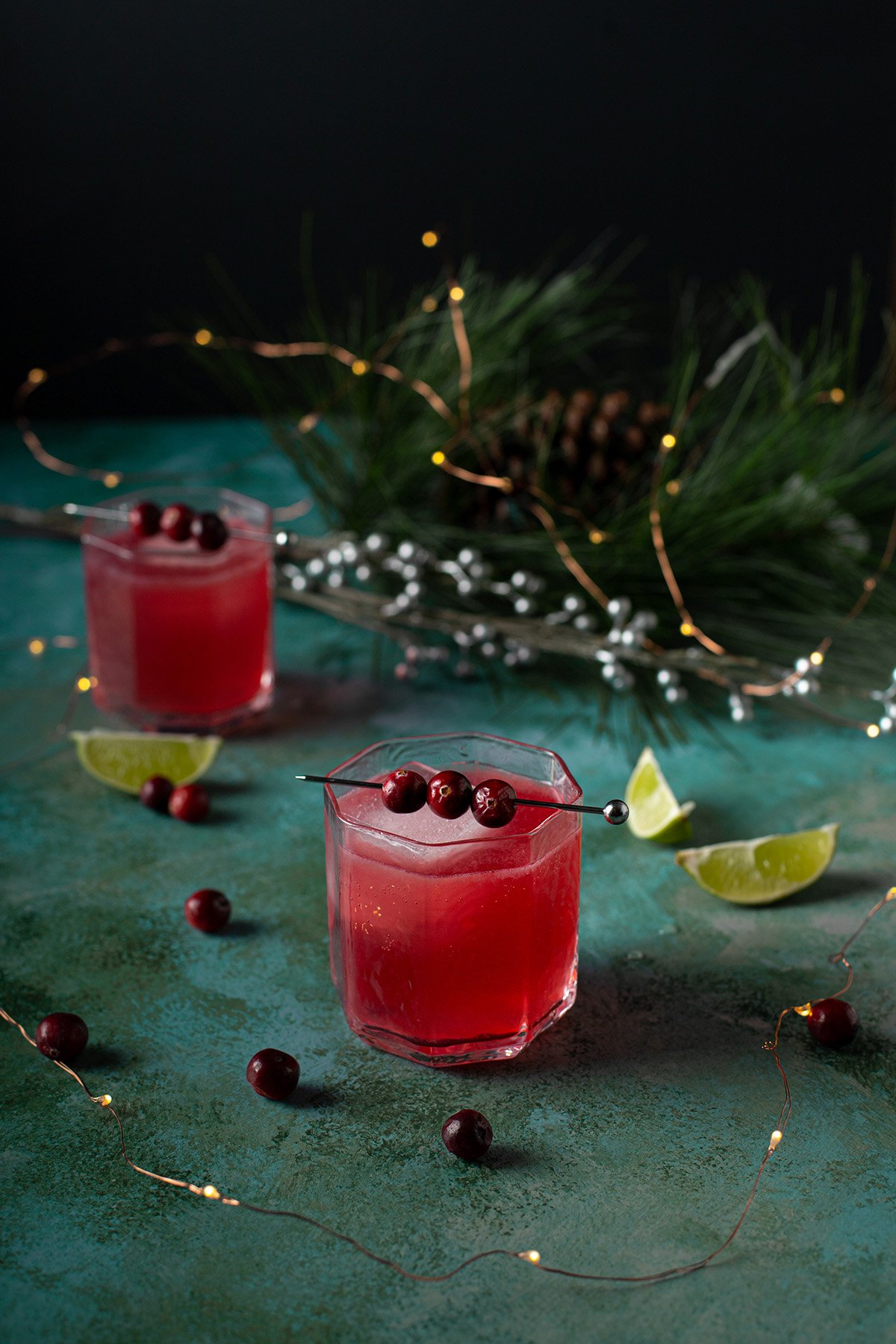 Festive Cranberry Gin and Tonic Recipe – A Nerd Cooks