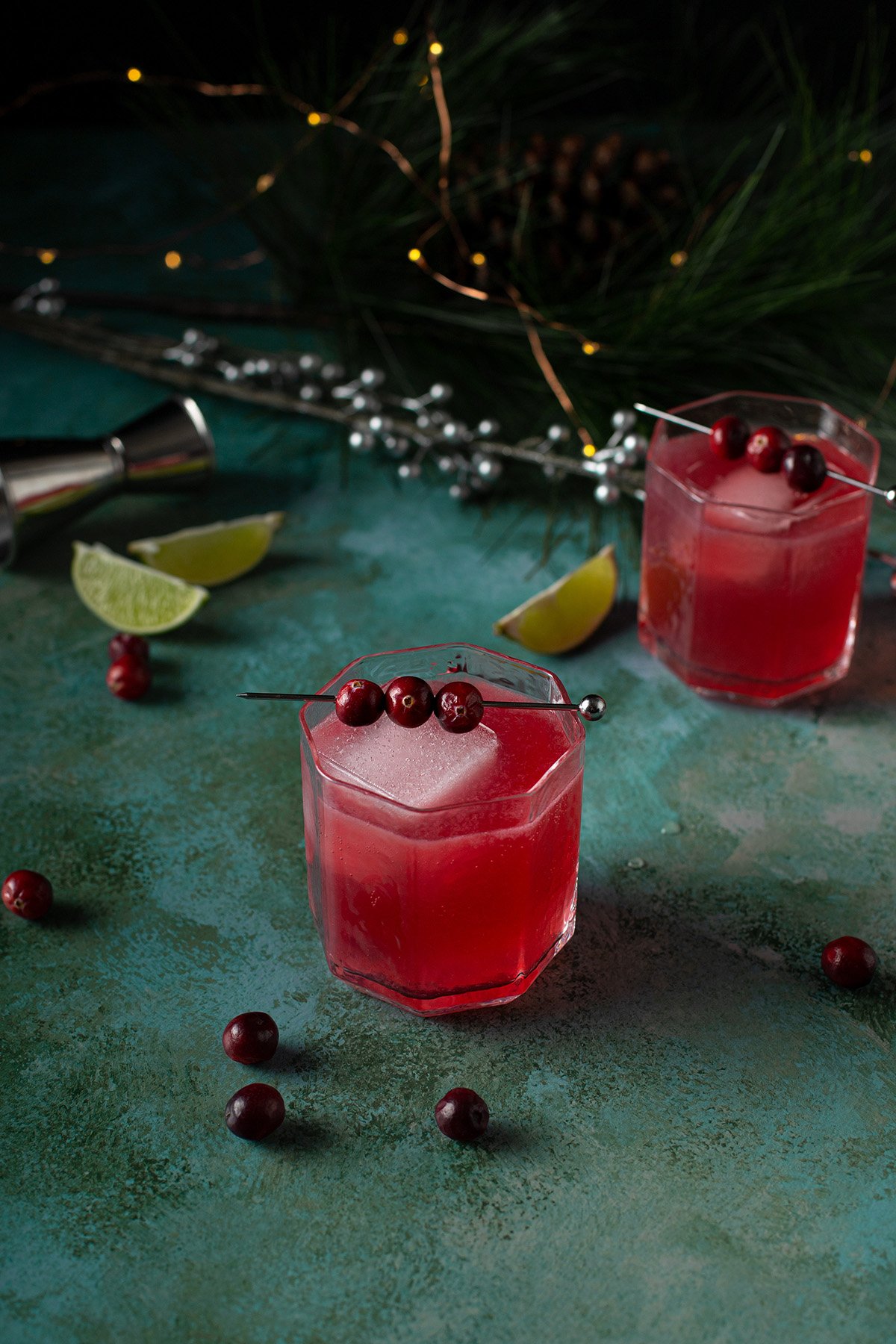 GRAND MASTER CRANBERRY VODKA – Glens and Tonics