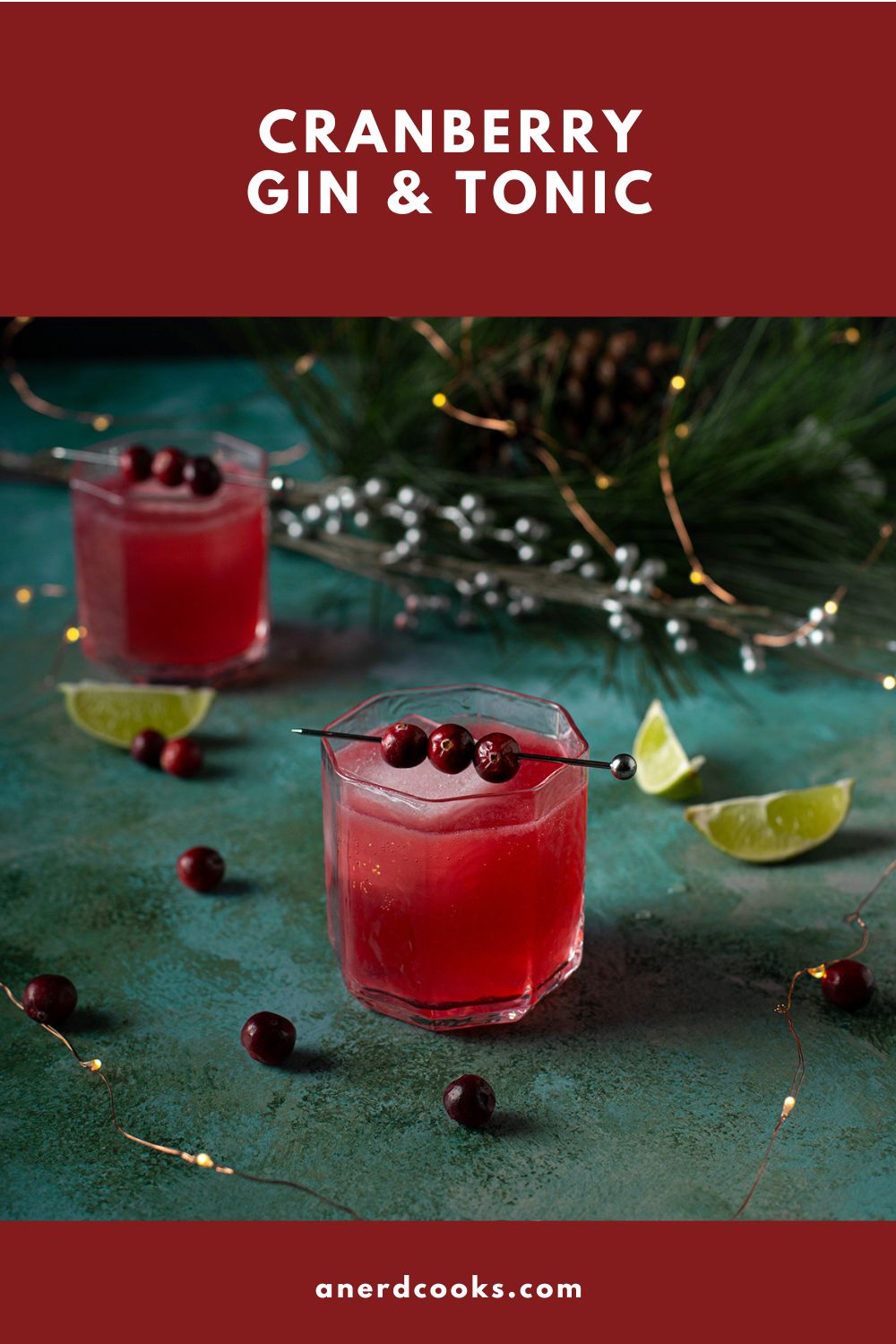 pinterest pin for cranberry gin and tonic