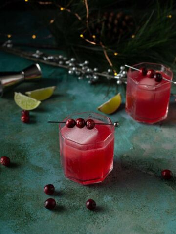 cropped-cranberry_gin_tonic9.jpg
