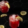 The Belmont Jewel Cocktail Recipe – A Nerd Cooks