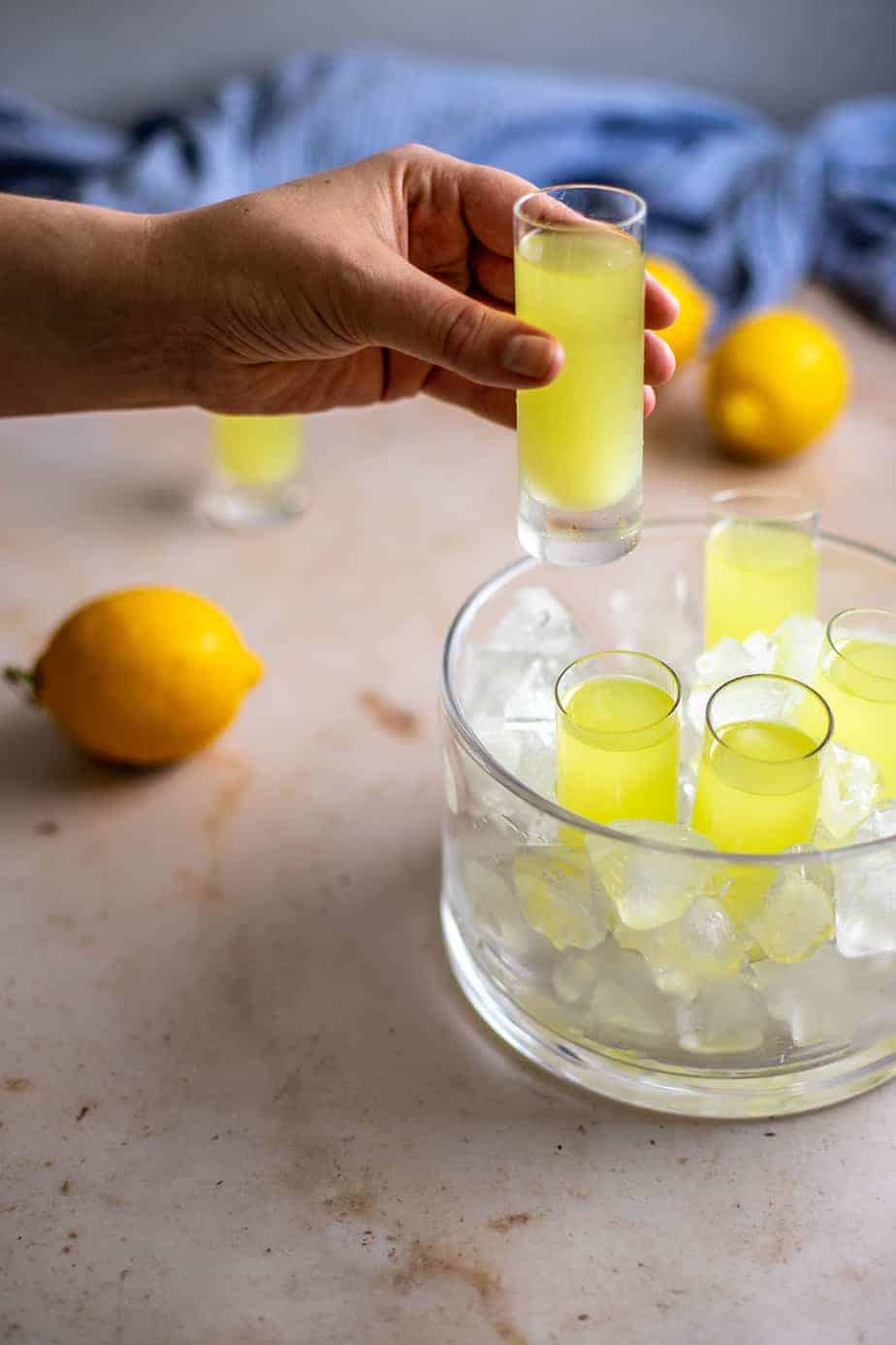 Limoncello Recipe (made with sous vide!) – A Nerd Cooks