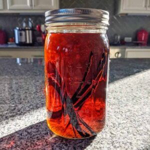 Sous Vide Vanilla Extract | A Nerd Cooks