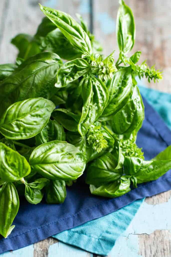 a bunch of fresh basil laying on two blue cloth napkins
