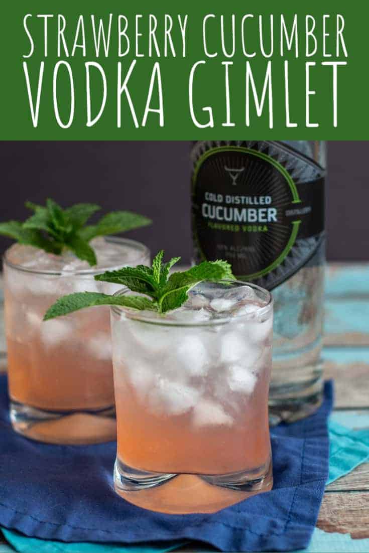 Strawberry Cucumber Vodka Gimlet - A Nerd Cooks