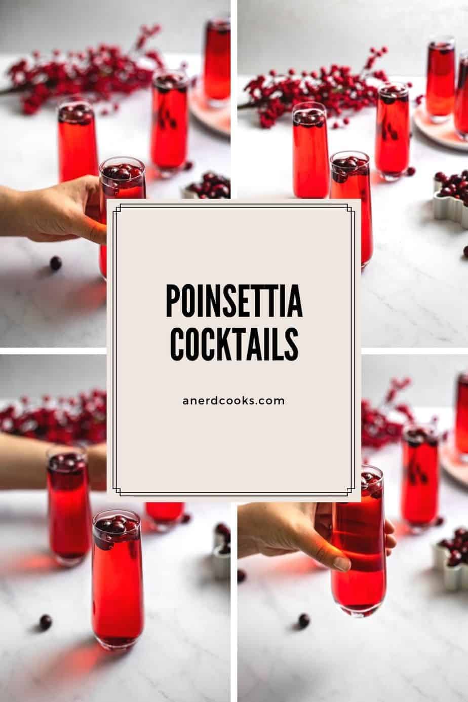 Poinsettia Drink Cranberry Mimosas A Nerd Cooks   Poinsettia Cocktail Pin3 