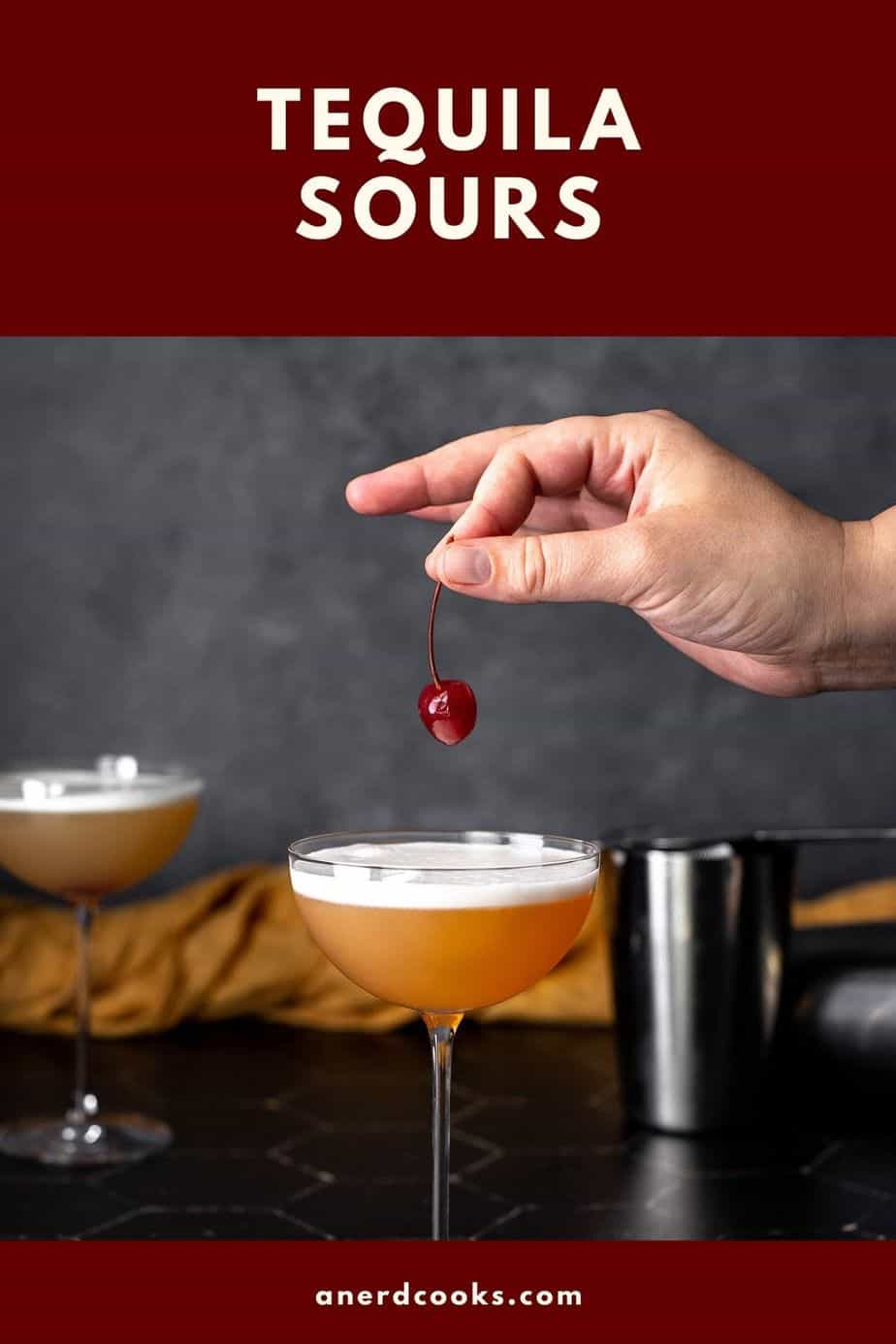 pinterest pin for a tequila sour