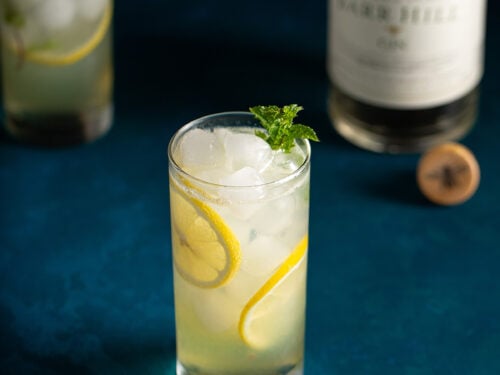 Limoncello Gin Collins Cocktail Recipe – A Nerd Cooks