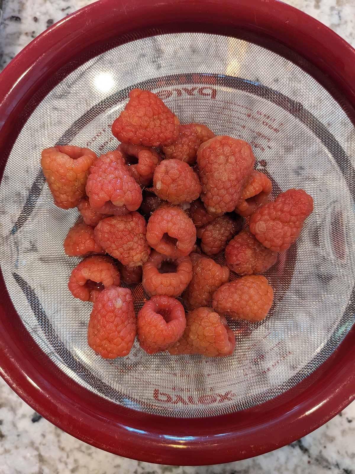 raspberries in a fine mesh strainer.